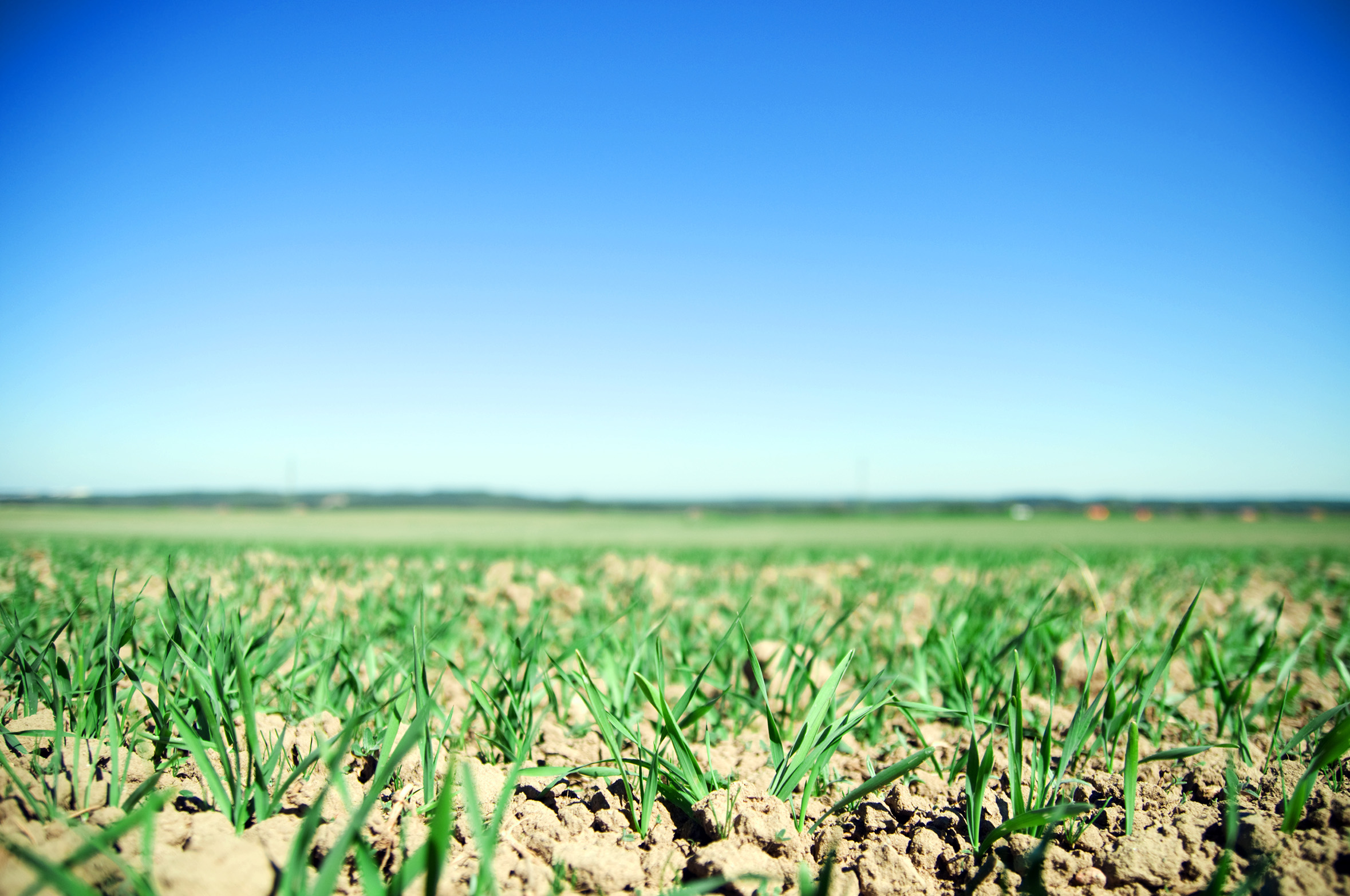 crop-growing s cabecera-software-administrar-certificados-digitales-despachos-redtrust