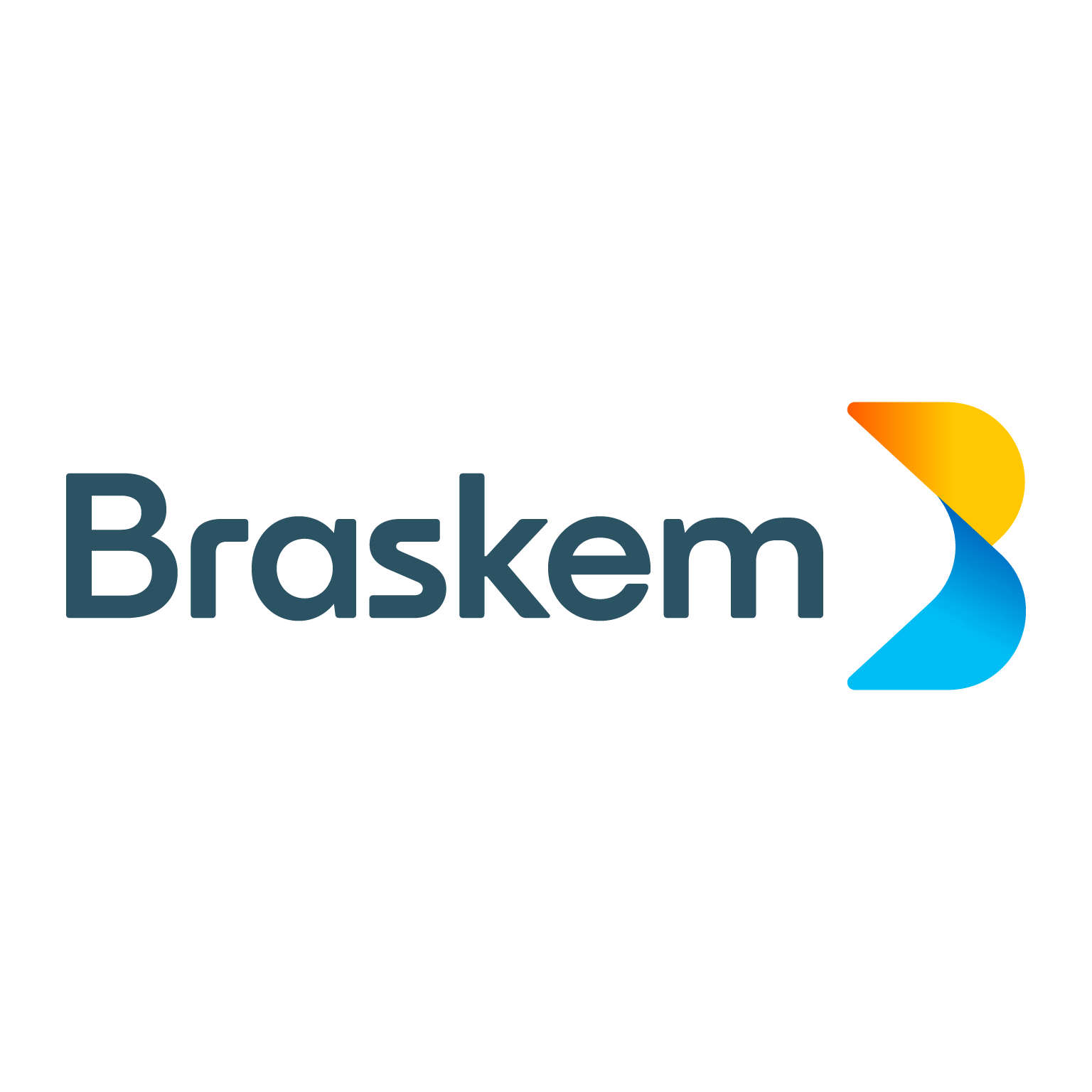 logo baskem